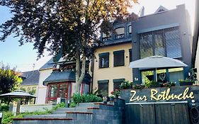 Zur Rotbuche